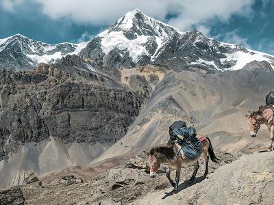 Trekking in Nepal